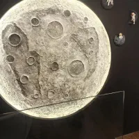 پتینه کلاسیک/میکروسمنت/نقاشی دیواری|خدمات پیشه و مهارت|تهران, مطهری|دیوار