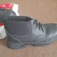 سالم سایز۴۰