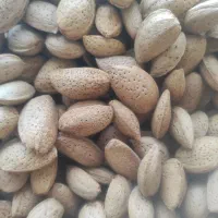 بادام بوانات درجه یک هر ۴ کیلو ۱کیلو مغز|خوردنی و آشامیدنی|مرودشت, بهارستان|دیوار