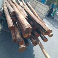 خریدفروش انوع چوب گردو،چنار،میوه،تیرچوب کهنه|خدمات باغبانی و درختکاری|کنگاور, |دیوار