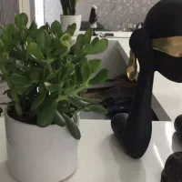 اتاق ۱۲متر ازمطب زیبایی مناسب‌همه‌لاینها روبرومترو