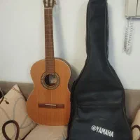 گیتار M5نونو