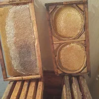 عسل طبیعی چهل گیاه