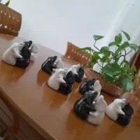 ادویه پاش طرح فیل ۲ عددی سفیدمشکی جنس چینی درجه یک|ظروف سرو و پذیرایی|رامسر, |دیوار