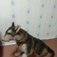 عروسک گرگی|اسباببازی|اسلامشهر, شهرک مهدیه|دیوار