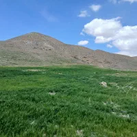 اجاره زمین بارانی