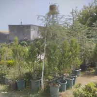 استخدام نیروی کار برای گلخونه|استخدام خدمات فروشگاه و رستوران|چمستان, |دیوار