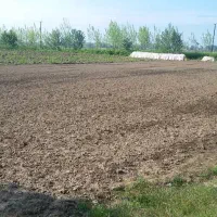 ۵۸۰متر زمین واقع در رشت روستای توریستی نوخاله|فروش زمین و ملک کلنگی|تولم شهر, |دیوار