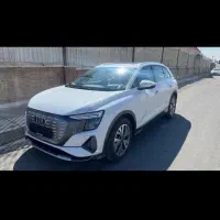 ائودی تیپ ۱