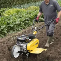 کارهرس باغ درکرج