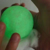 گوهر|جواهرات|قم, شاه سید علی|دیوار