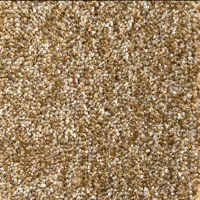 پالاز زیبا اسپرت با پشت ضد لغزش دو نخ|موکت|تهران, دهکده المپیک|دیوار