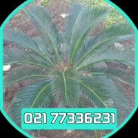 خط تلفن تجاری ثابت منطقه صنعتی اتحاد  خاک سفید