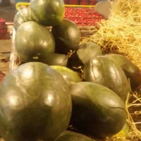 تهیه میوه تره بار از میدان تهران|خدمات پذیرایی، مراسم|لنگرود, |دیوار