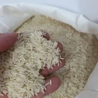 برنج ایرانی (گرگان)|خوردنی و آشامیدنی|فردیس, سرحد آباد|دیوار