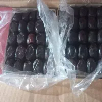 خرما درجه ۱ زاهدان