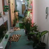 همخونه میخوام