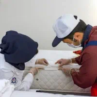 سمپاشی سم پاشی ساس سوسک کنه فقط فقط با یک جلسه