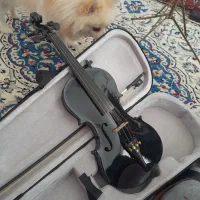 یک عدد ویلن آموزشی خوب