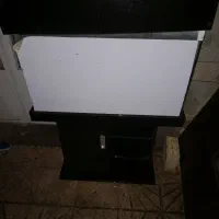 آکواریوم با وسایل