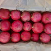 کارکردن سبد زنی