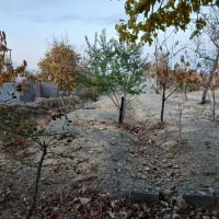 فروش زمین کشاورزی