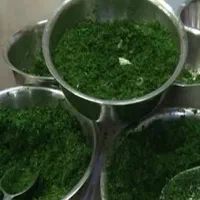نیروکار خانم جهت کار در سبزی خردکنی با محیط عالی