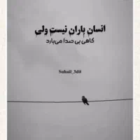 وام فرزنداوری