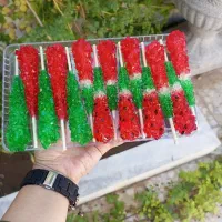 شاخه نبات یلدایی