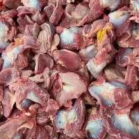 سنگدان مرغ گرم و تازه