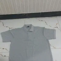 تیشرت ضخیم ایکس لارج|لباس|مشهد, شهرک امام هادی (شهرک غرب)|دیوار