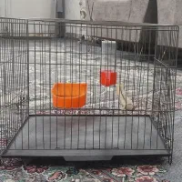 قفس پرنده سالم