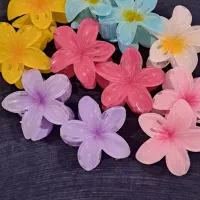 گیره کش مو و هدبند|زیورآلات و اکسسوری|آستانه اشرفیه, |دیوار