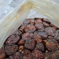 خرما مرداسنگ تازه