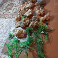 اکواریوم ۱۲۰ سانتی|ماهی|همدان, |دیوار