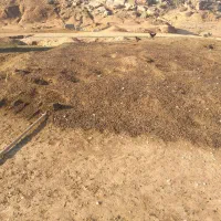 کود|خدمات باغبانی و درختکاری|شوشتر, |دیوار