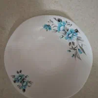 ظروف غذا خوری شیک ومجلسی