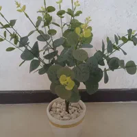 گل های مصنوعی|گل مصنوعی|فولادشهر, مسکن مهر فولادشهر|دیوار