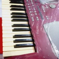 ارگ پیا۵۰۰|پیانو، کیبورد، آکاردئون|ارومیه, |دیوار