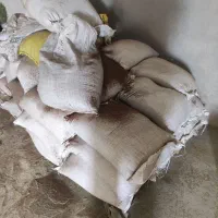 پودر هسته  و گوشته خرما  و زیتون