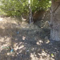 باغچه داخل بافت با مجوزساخت|فروش زمین و ملک کلنگی|ارشق, |دیوار