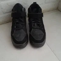 کفش|کیف، کفش، کمربند|گنبد کاووس, |دیوار