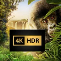 کپی فیلم فورکی 4k بر روی هارد.دوبله فارسی، ۲زبانه|فیلم و موسیقی|همدان, |دیوار