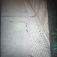 ابو حمیضه|فرش|سوسنگرد, |دیوار