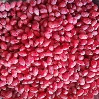 زرشک تازه دانه شده و آب زرشک تازه خالص و طبیعی|خوردنی و آشامیدنی|مشهد, ابوذر|دیوار