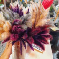 گل خشک دم رباهی بسته ۱۰تایی ۳۵تومن|گل مصنوعی|رشت, فلسطین|دیوار