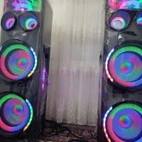 سیستم صوتی میکرولب