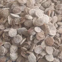 کشک بیرجندی سنجدبادام عناب گل محمدی و...
