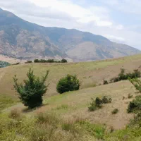 زمین-کشاورزی-جایگاه-عالی-7000متر