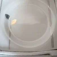 سرویس چینی  18نفره استخوانی مارس بن چاینا|ظروف سرو و پذیرایی|شیراز, باغ تخت|دیوار